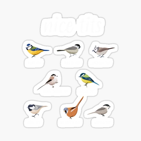 Nice Tits Funny Bird Watching Gift For Birder Men And Women Classic