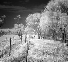 Dreamscape (IR) by Craig Shillington