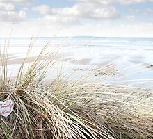 lonely wooden heart on beach dunes by morrbyte