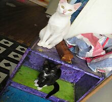 Book Cats by ShinyToy