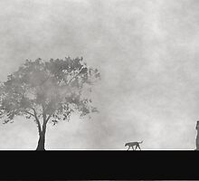 A walk in the fog..... by Biswajit Pandey