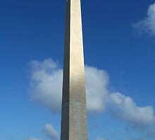 Washington Monument by meepy