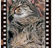 Caught on film by Deri Dority