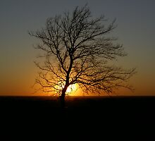 SUNSETTING by DarrellMoseley