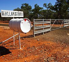 Wallangarra by Darren Stones