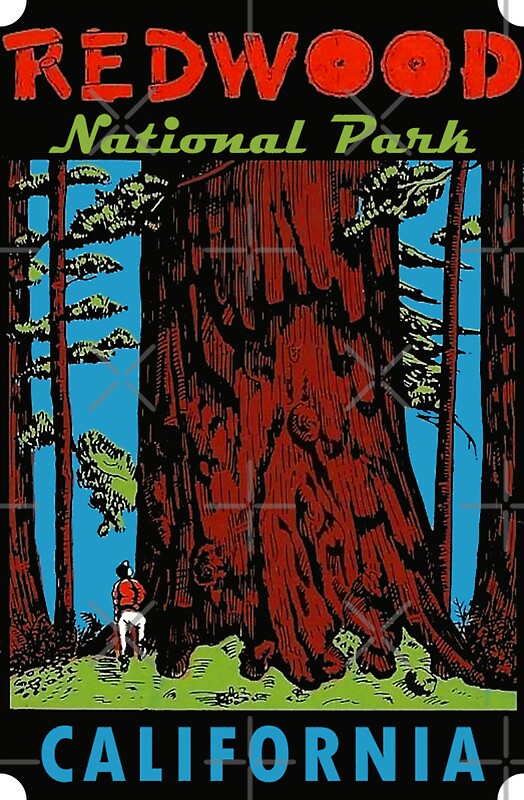 Redwood National Park: Gifts & Merchandise | Redbubble