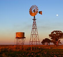 Evening Glow - Narrandera by Darren Stones