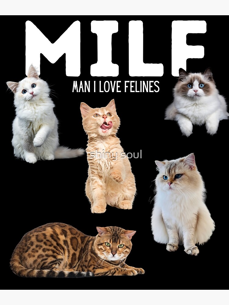 Milf Man I Love Felines Funny Cat Lovers Poster For Sale By Hafsaab