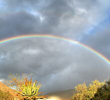 Rainbow by Deon de Waal