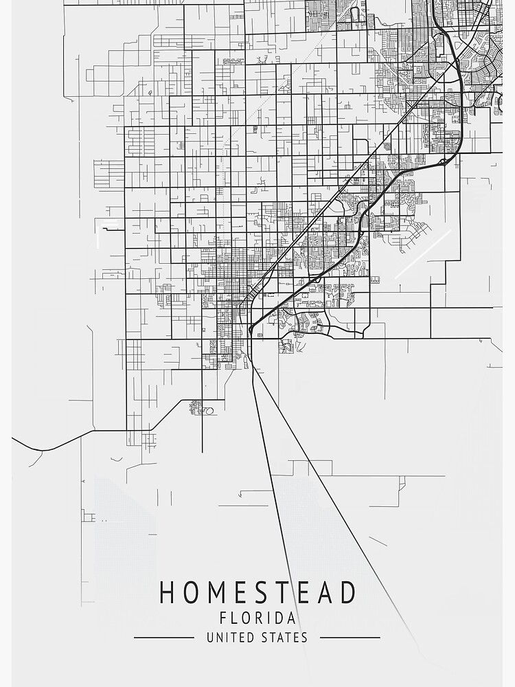 Homestead Florida US Gray City Map Poster For Sale By Ctmapprint