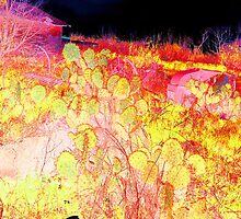 Radioactive Cactus by Cheyenne