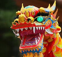 Dancing Dragon by Christophe Testi