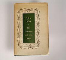 The Colossus by Sylvia Plath by Publication In The Moment