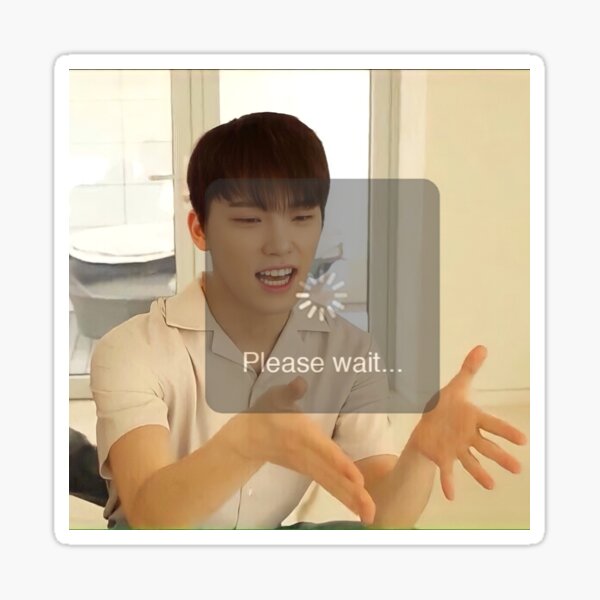 SEVENTEEN Dino Exe Has Stopped Working Meme Sticker For Sale By