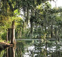 Charleston Moss by paula whatley
