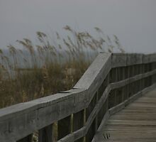 Bridge by Jules36