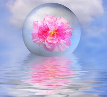 Rose globe by Annika Strömgren