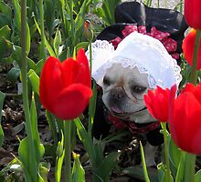 Lily in the Tulips by Maria Dryfhout