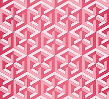 Penrose Cube - Pink by VanHogTrio