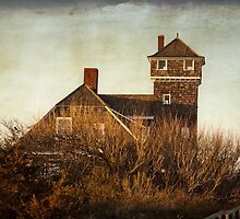 Environmental Center on Sandy Hook by Debra Fedchin