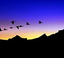 Twilight by Mundy Hackett
