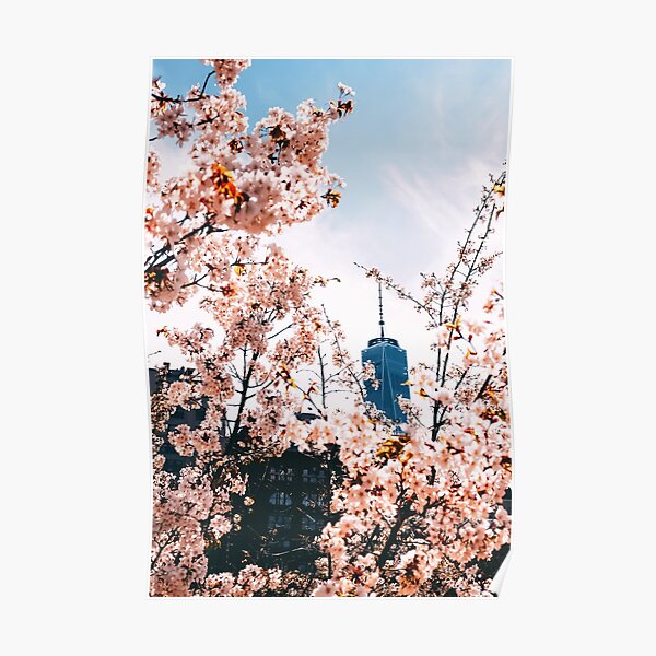 Cherry Blossom In New York City Poster For Sale By Nycruss Redbubble