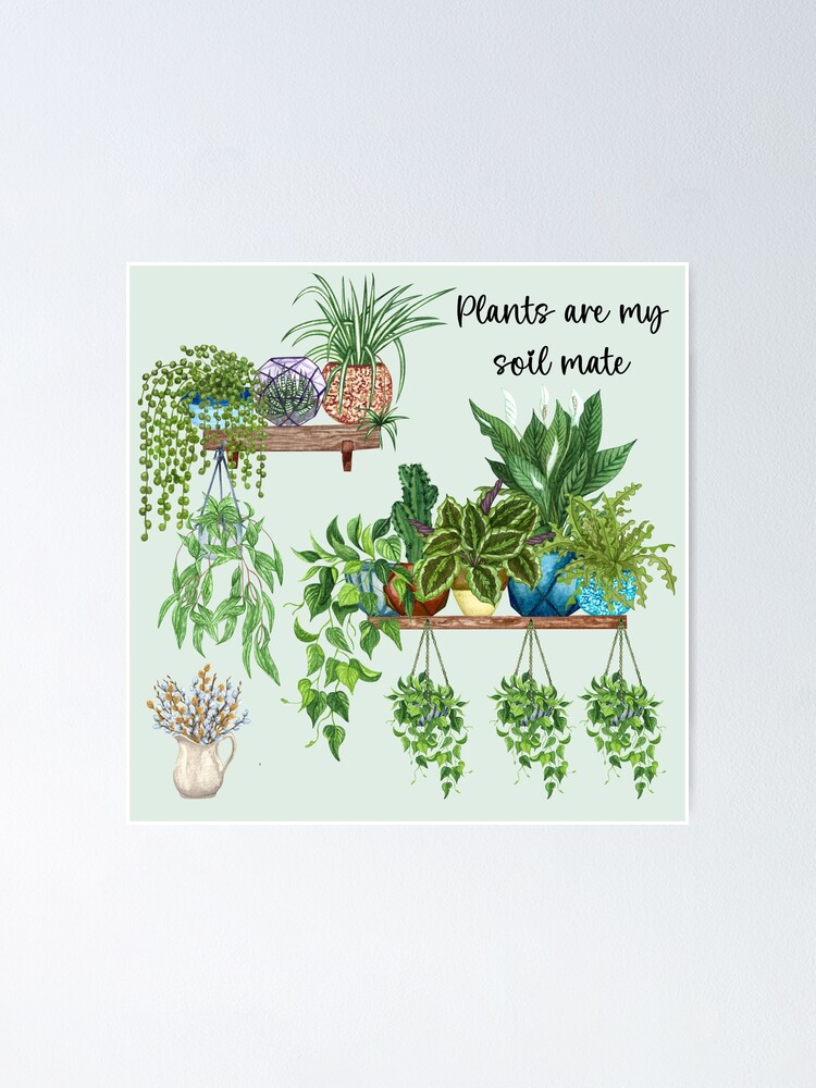 Plants Are My Soil Mate Poster For Sale By Gronly Redbubble