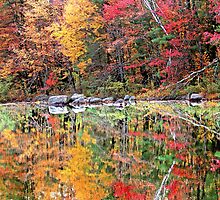 Autumn Stillness ! by robkal