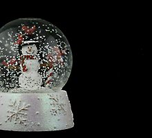 Christmas Snow Globe by Alyeska