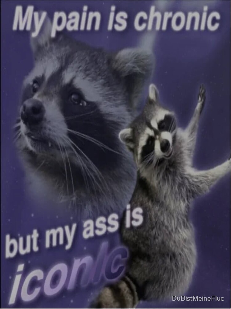 MY PAIN IS CHRONIC BUT MY ASS IS ICONIC Funny Raccoon Quote Poster