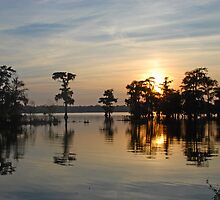 Tranquility by Bonnie T. Barry