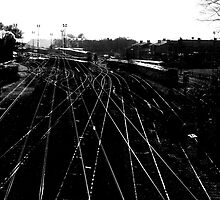 Railway Distraction by Colin Walker