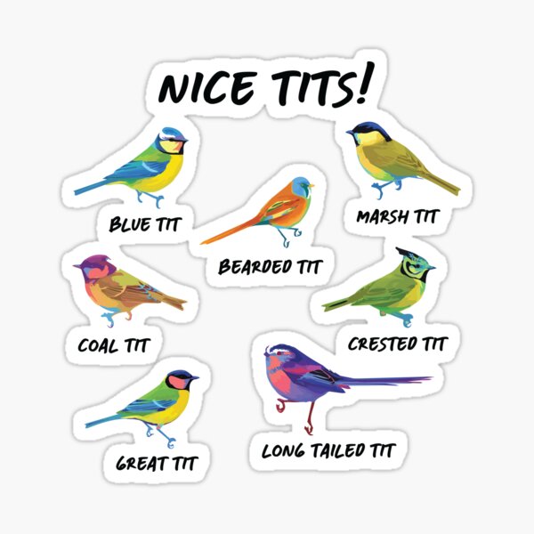 Nice Tits Bird Lovers And Birdwatchers Gift Sticker For Sale By