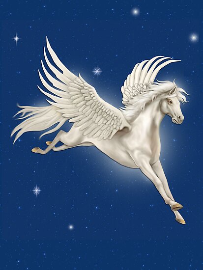 "Flying Pegasus" by SpiceTree | Redbubble