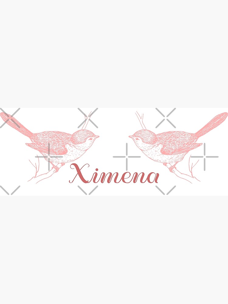 Ximena Poster For Sale By Vintage Sigh Redbubble