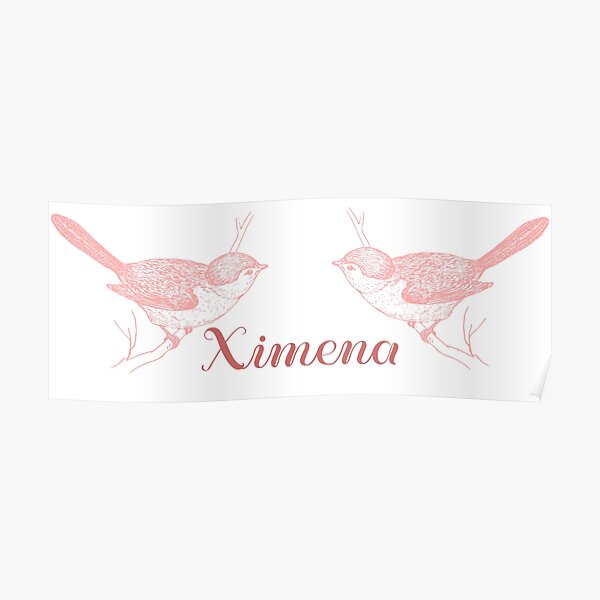 Ximena Poster For Sale By Vintage Sigh Redbubble