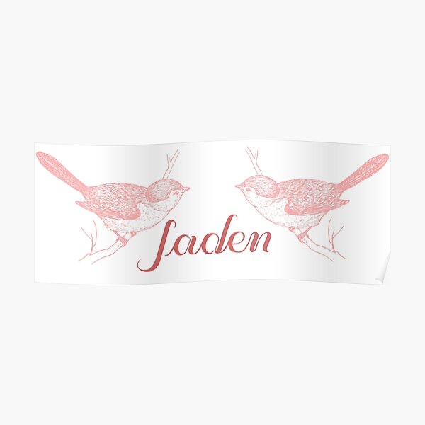 Jaden Poster For Sale By Vintage Sigh Redbubble