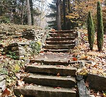 Hidden Treasure by Mary Ann Battle