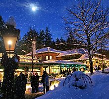 Moonlight in Butchart Gardens (Carol Singers) by AnnDixon
