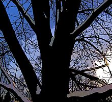 Comic Abstract Shaded Snow Tree by steelwidow