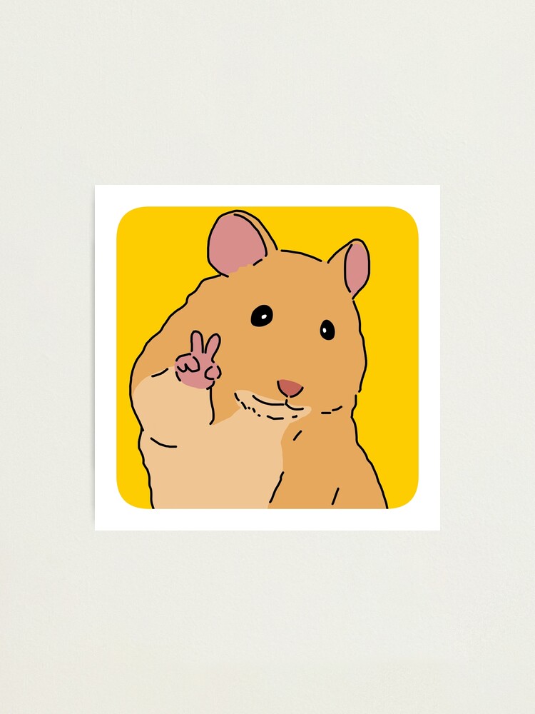 Peace Cute Hamster Meme Photographic Print For Sale By Jebi Garden