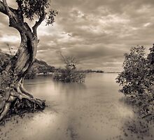 A most sought after location!! by Mel Brackstone