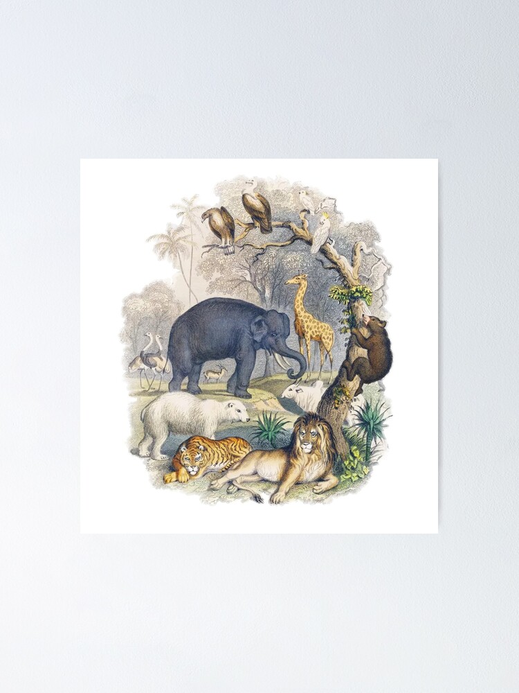 Jungle Poster For Sale By Arsevski Redbubble