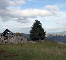Good Location - Needs a Little Work Wynyard Tasmania by Philip Johnson