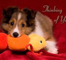 Baby Puppy Thinking Of You by jkartlife