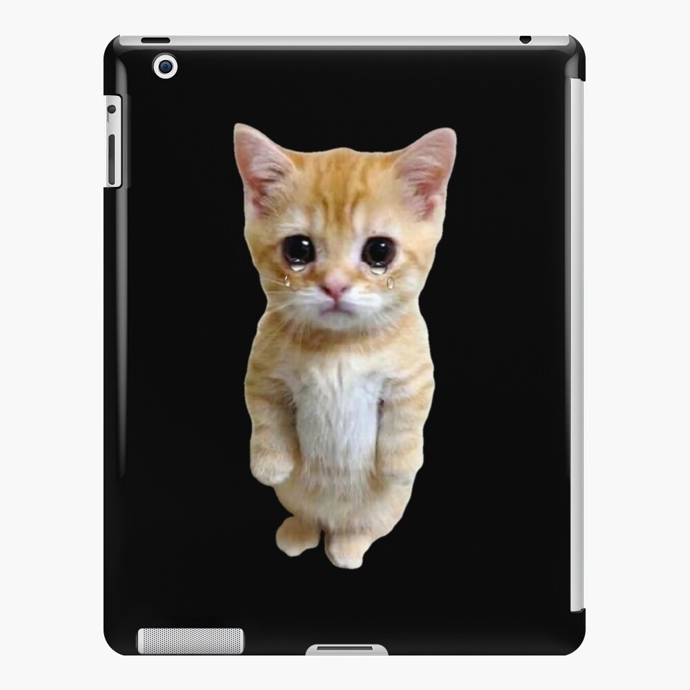 HQ Crying Cat Standing Up Meme IPad Case Skin For Sale By