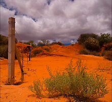 The Dunes of Monkey Mia by Damiend