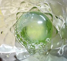ALoe Vera Bubbly by D. D.AMO