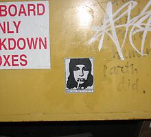 wheatpasting at lake ella by HBKristen