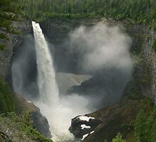 Into the chasm by Darbs